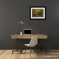 thumbnail image 3 of Goebel, Wilhelm 32x24 Black Ornate Wood Framed with Double Matting Museum Art Print Titled - Woodland Brook, 3 of 4