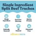 thumbnail image 2 of Hotspot Pets Premium Beef Trachea for Dogs 6" Strips Split (10 Pack) - All Natural Grass-Fed Beef Dog Chews, 2 of 9