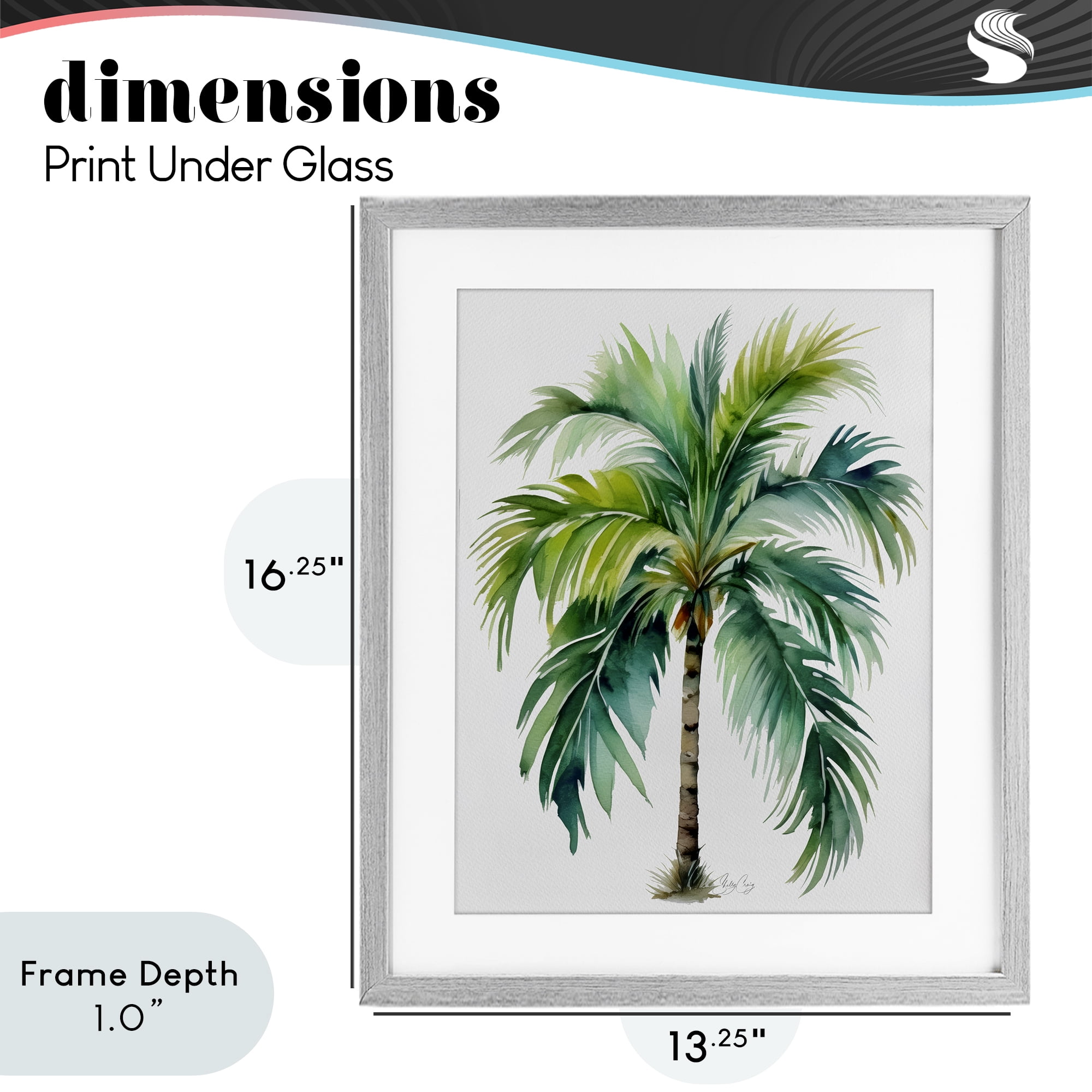 Stupell Industries Lagoon Majesty Palm Gray Framed Print Under Glass, design by Shelly Craig