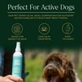thumbnail image 2 of Breedwise Pet Provisions Dog Deodorizer Spray, Sweet Pea and Vanilla Scent, 8 fl oz Bottle, 2 of 19