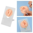 thumbnail image 3 of Exhibición de parte del cuerpo del modelo de oreja de silicona para práctica de perforación y exhibición de joyas Color de piel claro, 3 of 7