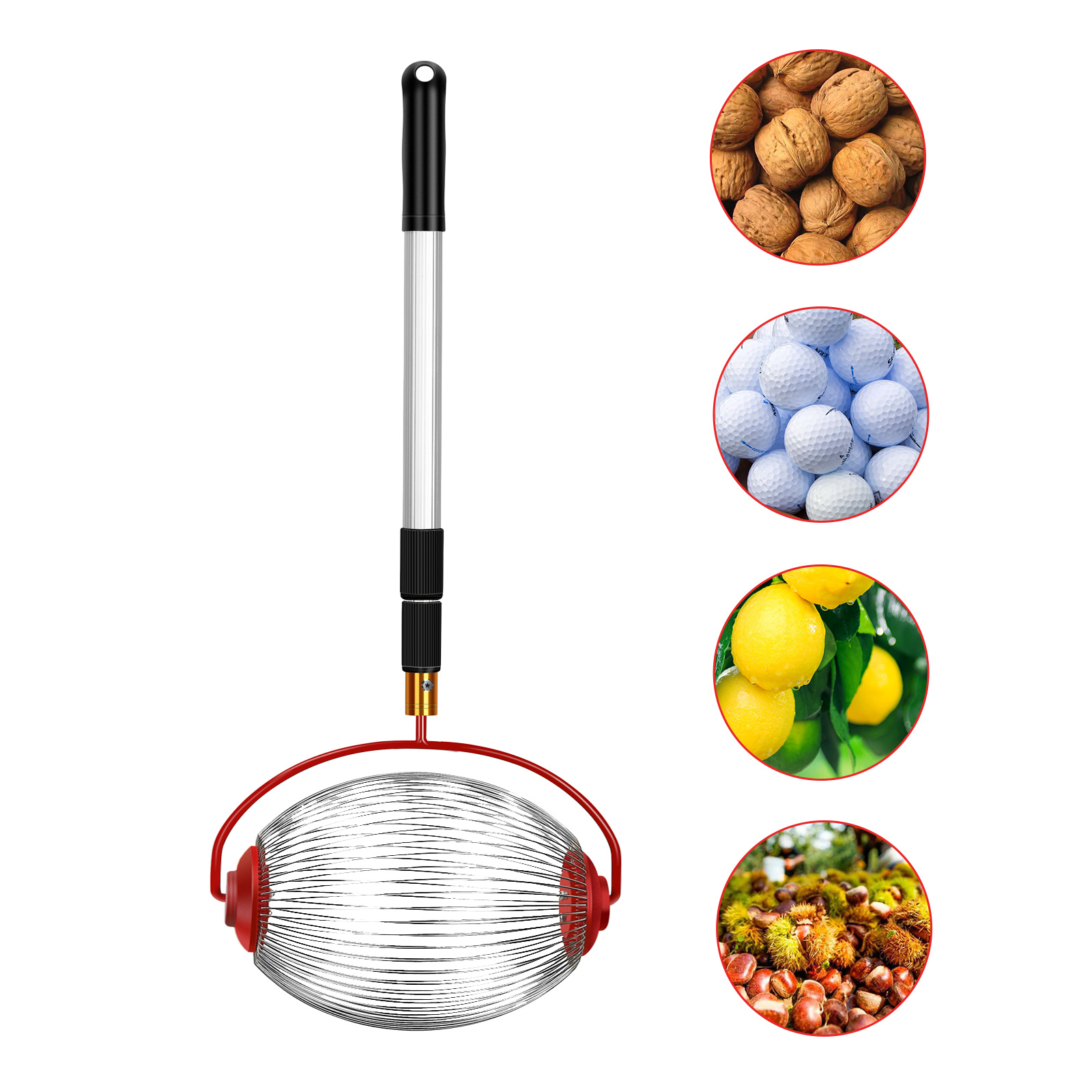 Nut Harvester Acorn Picker Upper With Pour Spout Adjustable Hickory