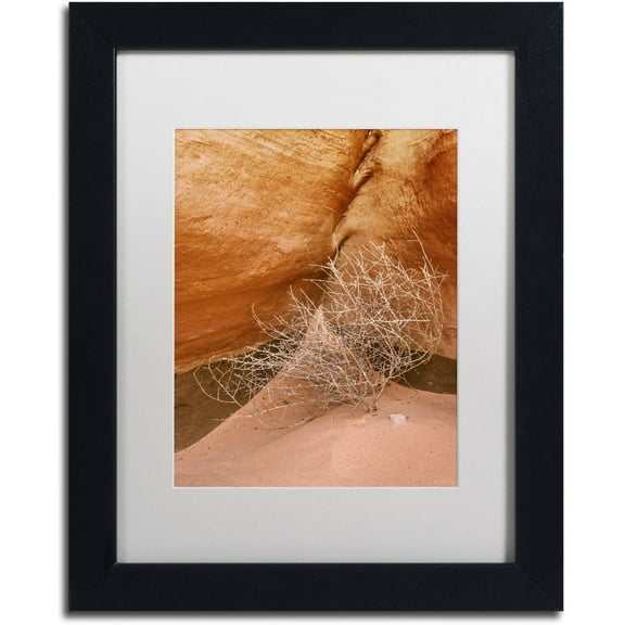 Trademark Fine Art 'Tumbleweed' Canvas Art by Michael Blanchette Photography, White Matte, Black Frame