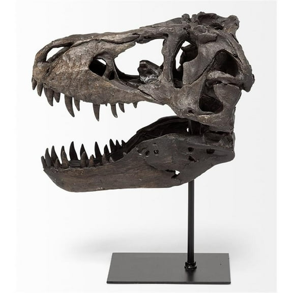 Mercana Jurassic 11.8"H  Black and Brown Resin Replica Tyrannosaurus Skull