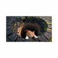 thumbnail image 1 of Modern Abstract Visual Trap Area Rug Non- Floor Mat for Contemporary Living Room and Bedroom, 1 of 5