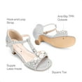 thumbnail image 3 of BURUDANI Girls Dress Sandals with Ankle Strap T-Strap Low Heel Pumps for Little & Big Kids, 3 of 6