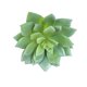 thumbnail image 3 of Inteprter Simulaciones de suculentas, plantas artificiales de plástico, decoraciones para el hogar, jardín y sala de estar Decoración, 3 of 3