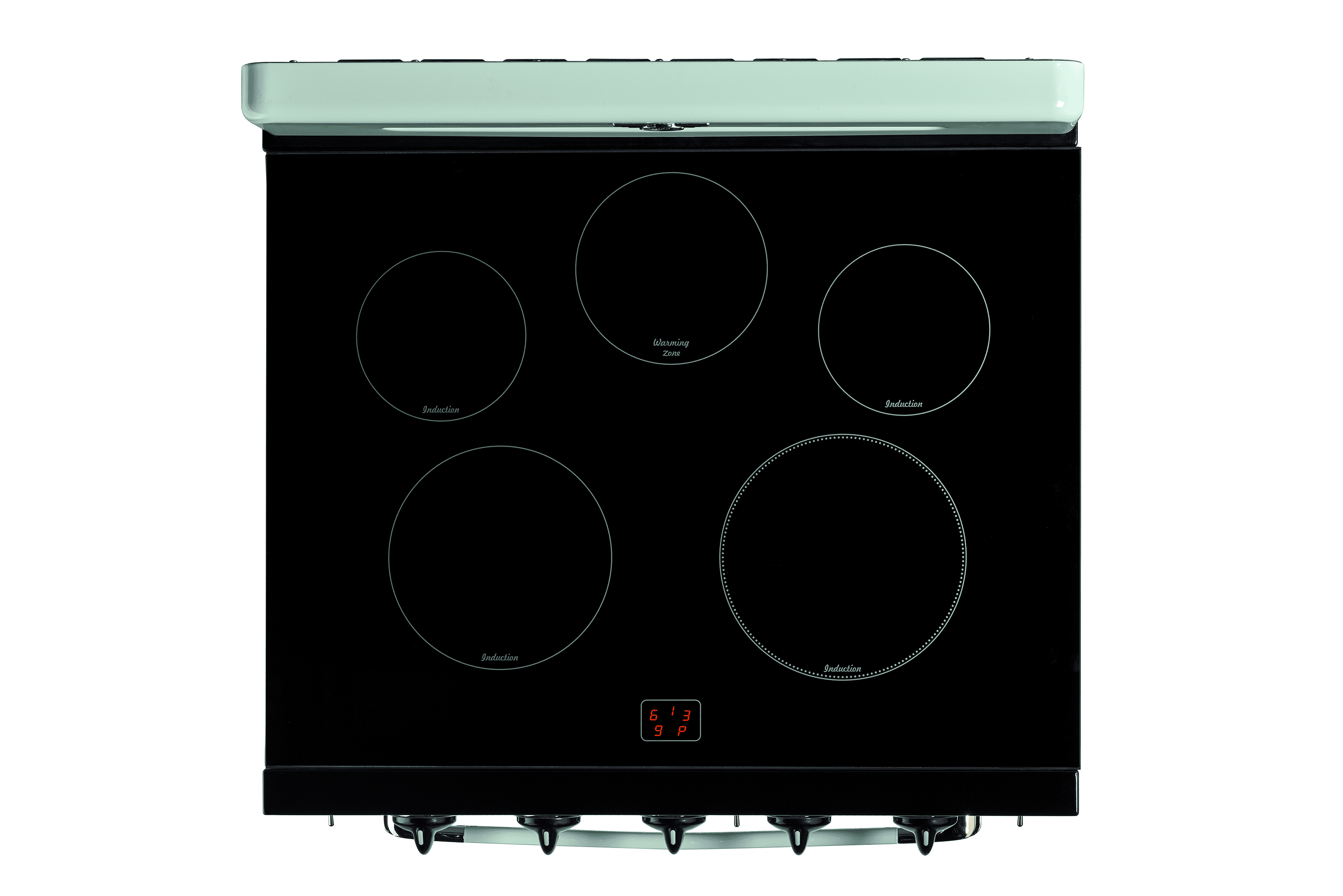 Unique 30' Classic Retro Induction Range, Summer Mint Green