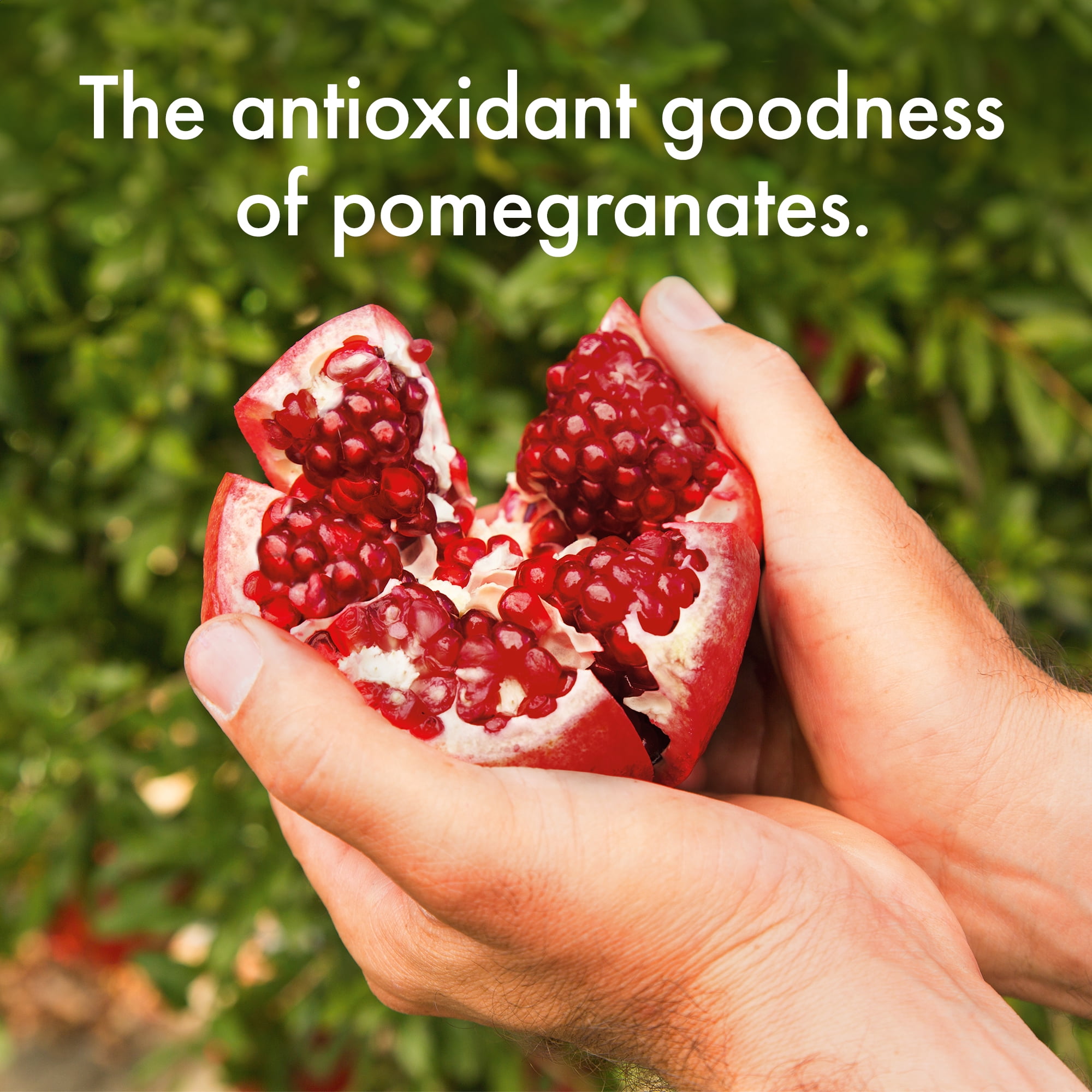 POM Wonderful Pomegranate Arils, Ready to Eat Pomegranate Seeds, 4 oz