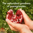 thumbnail image 4 of POM Wonderful Pomegranate Arils, Ready to Eat Pomegranate Seeds, 8 oz, 4 of 9