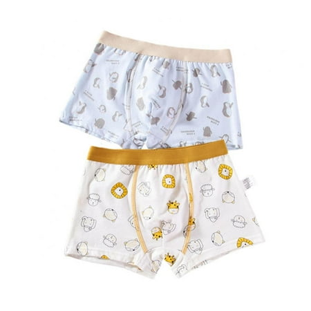 

2pcs Boys Cotton Cartoon Boxer Briefs Soft Children Panties Boy Underpanties