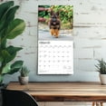 thumbnail image 5 of German Shepherds | 2026 12x24" (Hanging) Square Wall Calendar | Plastic-Free, 5 of 9