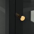 thumbnail image 3 of vidaXL Sideboard Black 38x35x70 cm Steel and Glass, 3 of 5
