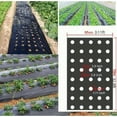 thumbnail image 2 of Grow Your Vegetables with Our High-Quality Black Plastic MulchFilm - Perfect for Greenhouses and Plant Protection!, 2 of 7