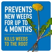 Roundup Dual Action Weed & Grass Killer Plus 4 Month Preventer, 32 fl. oz.