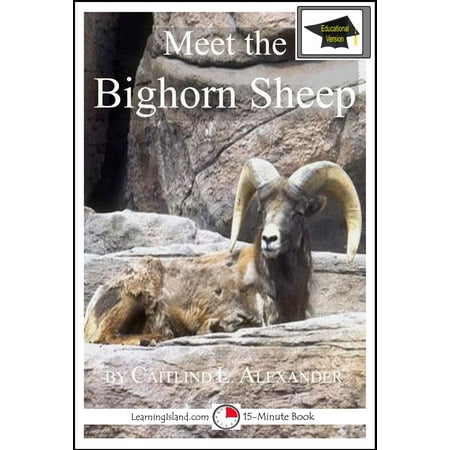 Meet the Bighorn Sheep: Educational Version -