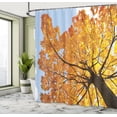 thumbnail image 5 of Ambesonne Tree Shower Curtain, Maple Leaves Fall Autumn, 69"Wx75"L, Orange Blue, 5 of 5