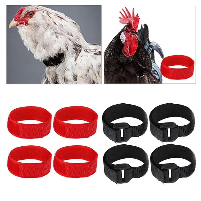 8pcs / pack Sin collar de reducción de para gallos Collares de cinturón negro y rojo Yinane Collar Gallo Anti Cuervo