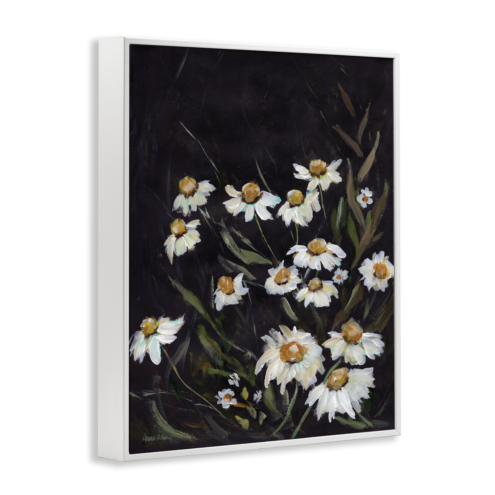 Stupell Industries Daisies on Black Botanical & Floral Painting White Framed Art Print Wall Art, 11 x 14