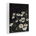 thumbnail image 4 of Stupell Industries Daisies on Black Botanical & Floral Painting White Framed Art Print Wall Art, 11 x 14, 4 of 10