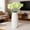 A, variant on 10pcs Calla Lily Artificial Flowers,13.8" Real Touch Long Stem Calla Lillies for Indoor Wedding Office Home Decor(C)