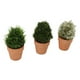 thumbnail image 3 of Juego de 3 plantas artificiales Nikou en macetas de plástico, 3 of 15