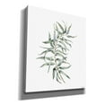 thumbnail image 2 of Epic Graffiti 'Eucalyptus I' by Seven Trees Design, Canvas Wall Art, 26"x30", 2 of 2