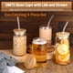 thumbnail image 4 of Juego de vasos de vidrio DWTS DANWEITESI con tapas y pajitas, 16 oz, juego de 2, 4 of 8