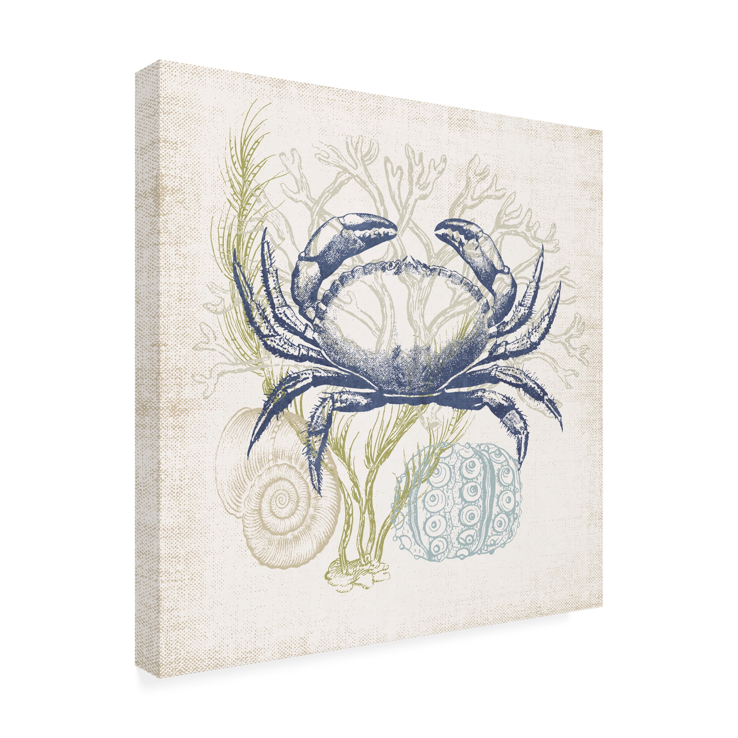 Victoria Barnes 'Antique Coastal Ephemera I' Canvas Art