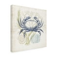 thumbnail image 2 of Victoria Barnes 'Antique Coastal Ephemera I' Canvas Art, 2 of 2