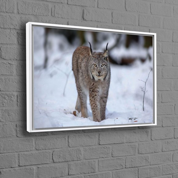 Affiche Personnalisé Lynx Chat Loup pour Décoration Murale à Thème Animal Unique et Cadeau Idéal pour Bébé