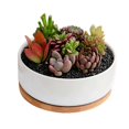 thumbnail image 1 of White Ceramic Bonsai Plant Pot with Bamboo Tray - Decorative, 1 of 5
