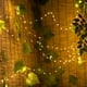 thumbnail image 5 of Cadena de luces Leyfeng, 5 m, 50 LED, USB, para Navidad, Halloween, decoración colgante, jardín, patio, paisaje, iluminación para bodas, fiestas y exteriores., 5 of 8