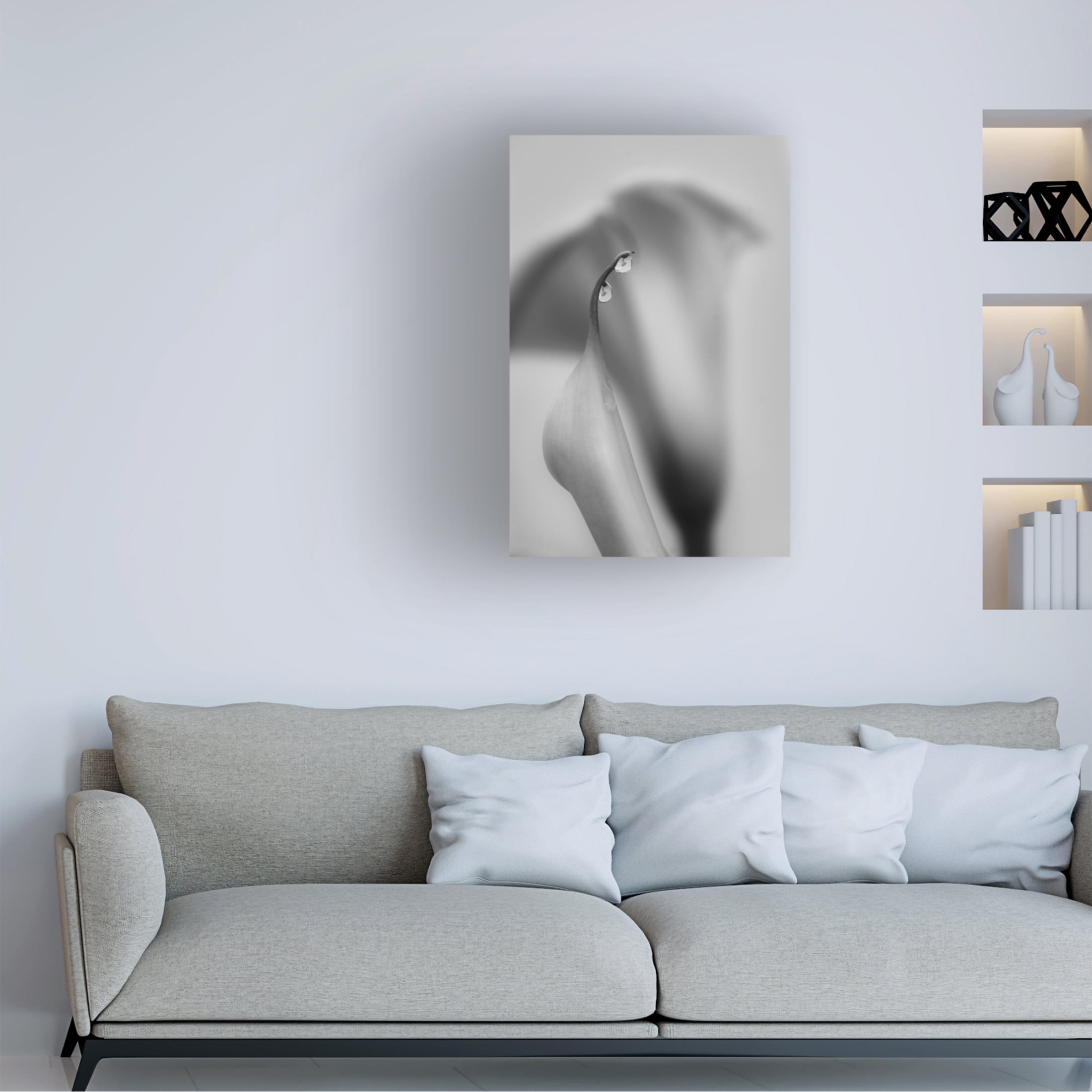 Trademark Fine Art Simon ChengLu Two Drops Canvas Wall Art