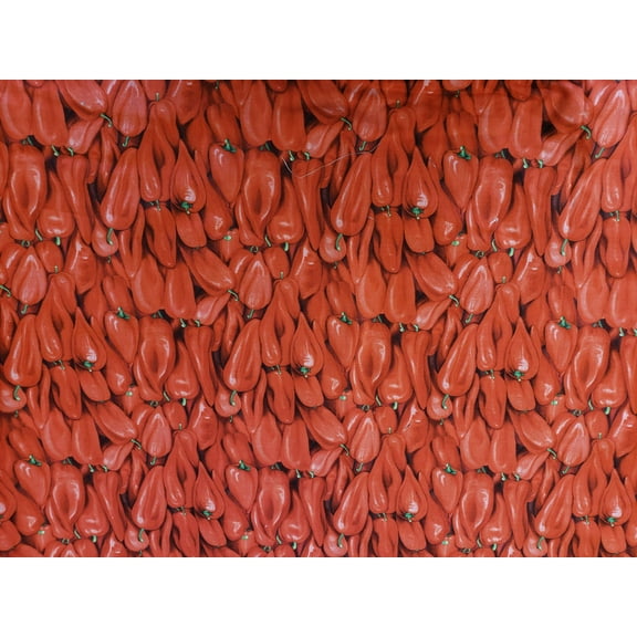 Timeless Treasures Packed Hot Peppers Red 100% Cotton Fabric sold by the yard