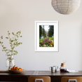 thumbnail image 4 of Banff Flowers In National Park Nature Photo Poster, Framed Art Print Wall Art Sold by Art.Com, 4 of 6