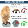 thumbnail image 3 of Comedero lento verde de 2 piezas para perros, comedero de alimentación lenta, comedero antitragantamiento para perros y gatos, promueve una alimentación saludable y una digestión lenta., 3 of 5