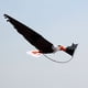 thumbnail image 3 of Cometa de águila Sunnimix 3D cometas de Animal realista fácil pájaro volador al aire libre 200x70cm, 3 of 8