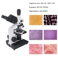 thumbnail image 3 of Microscopio Trinocular, 5 ángulos De Visión 40X-5000X Microscopios De Aumento Variador De Iluminación Halógena Para La Escuela, 3 of 7