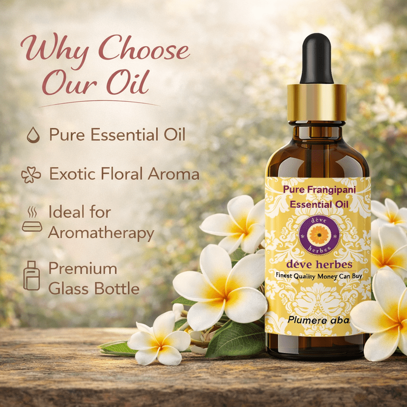 Deve Herbes Pure Frangipani Essential Oil (Plumeria alba) Steam Distilled, Natural & Aromatherapy Use 15ml with Glass Dropper