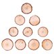 thumbnail image 2 of 10 UdsDe discos de rodajas de troncos de madera de árbol de Navidaddiscos de madera circulares recortados Ndcxsfigh Nuevos Originales, 2 of 3