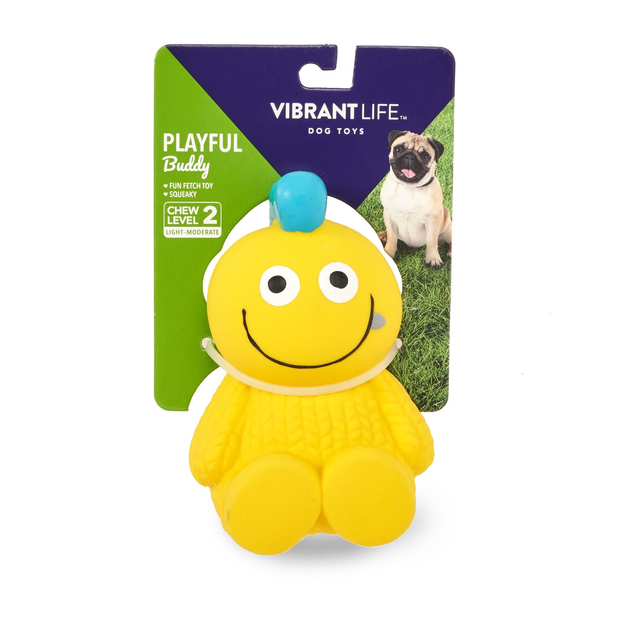 vibrant life dog toys playful buddy