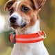 thumbnail image 4 of Collar de perro LED Collar de perro LED brillante Collar de perro recargable USB (Rojo M), 4 of 6