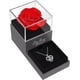 thumbnail image 2 of Rosa Real Roja Conservada Con Collar Te Amo En 100 Idiomas - Regalos De Rosas De Flores Eternas Para Mamá, Esposa, Novia, Ella En Navidad, Día De San Valentín, 2 of 5