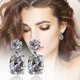 thumbnail image 2 of Xihbxyly Pendientes de Flores de Hielo para Mujer, Exquisitos y a La Moda, Hermosos Pendientes., 2 of 3