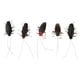 thumbnail image 4 of 5 Piezas Juguetes de Falsos Simulados Juguete de Suministros de Fiesta de Halloween Modelos Educativos Imán de Nevera Cucaracha Baoblaze Decoración realista de insectos, 4 of 7