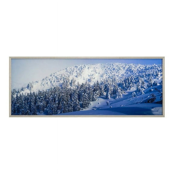 Yosemite Home Decor "Alpine Landscape" Glass Photographic Art in Multi-Color