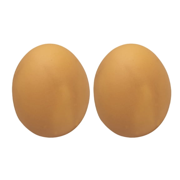Interactive Squeaky Dog Toy Play Eggs for Pet and Activities