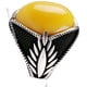 thumbnail image 4 of Anillo turco hecho a mano para hombres, anillos de circón negro con patrón de águila Vintage, Punk, joyería musulmana religiosa islámica de moda, nuevo, 2022, 4 of 4