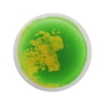 thumbnail image 3 of Suelos sensoriales líquidos, azulejos decorativos, juguetes de aprendizaje temprano, suelos sensoriales líquidos, estera decorativa para niños, regalo amarillo y verde Macarena Líquido Los Azulejos, 3 of 8
